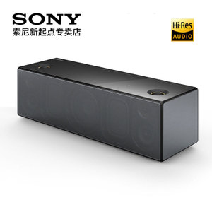 Sony/索尼 SRS-X99