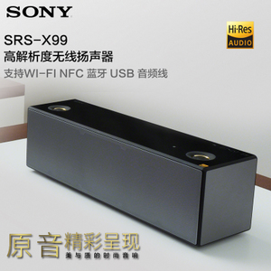 Sony/索尼 SRS-X99