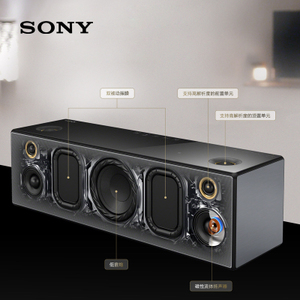 Sony/索尼 SRS-X99