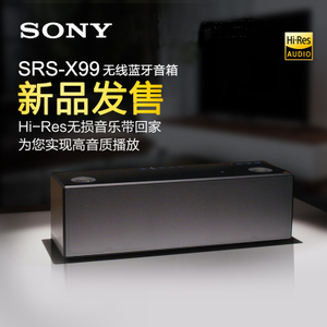 Sony/索尼 SRS-X99