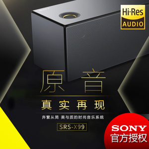 Sony/索尼 SRS-X99