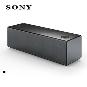 Sony/索尼 SRS-X99