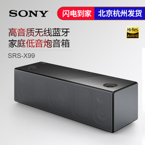 Sony/索尼 SRS-X99