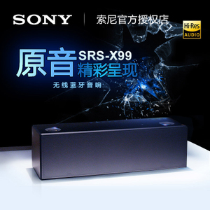 Sony/索尼 SRS-X99