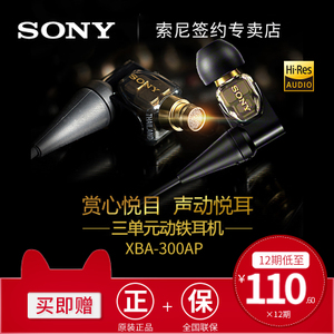 Sony/索尼 XBA-300AP