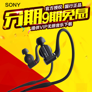 Sony/索尼 XBA-Z5