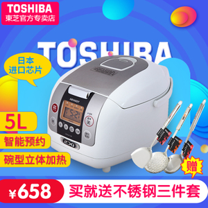 Toshiba/东芝 RC-N18PJ