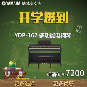 Yamaha/雅马哈 YDP-162