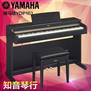 Yamaha/雅马哈 YDP-162