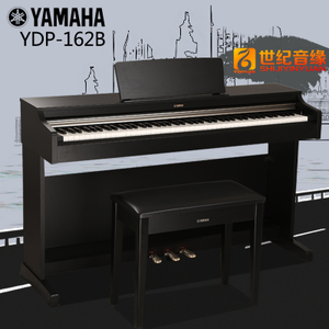 Yamaha/雅马哈 YDP-162