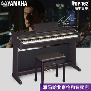 Yamaha/雅马哈 YDP-162