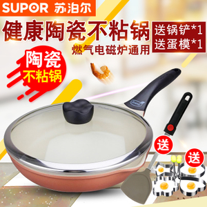 SUPOR/苏泊尔 PJ26S2