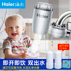 Haier/海尔 HT101-1