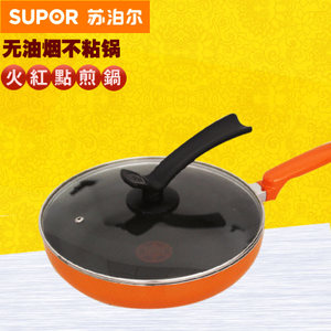 SUPOR/苏泊尔 PJ24G1