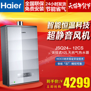 Haier/海尔 JSQ24-V1