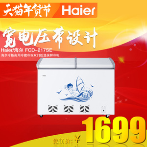 Haier/海尔 FCD-217SE