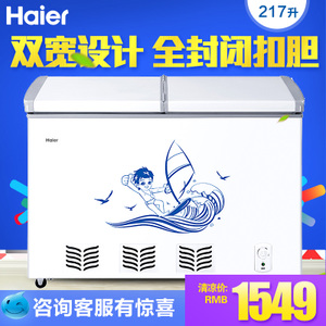 Haier/海尔 FCD-217SE