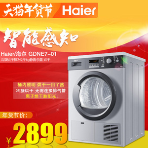 Haier/海尔 GDNE7-01