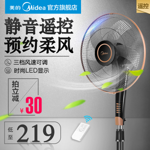 Midea/美的 FS40-13GR