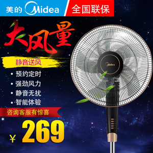 Midea/美的 FS40-13GR