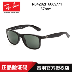 Rayban/雷朋 606971