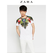 ZARA 00722438250-20