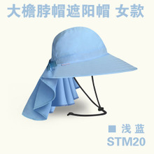 STM20