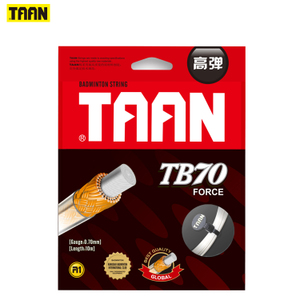 A1TAAN/泰昂 TB70