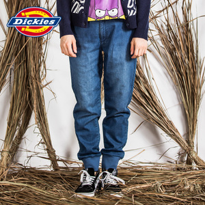 Dickies 153W40WD11-ILB