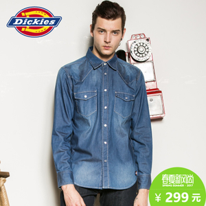 Dickies 161M20WD15