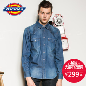 Dickies 161M20WD15