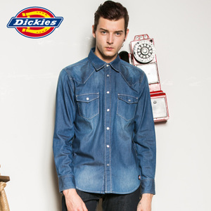 Dickies 161M20WD15