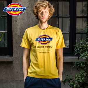 Dickies 4107