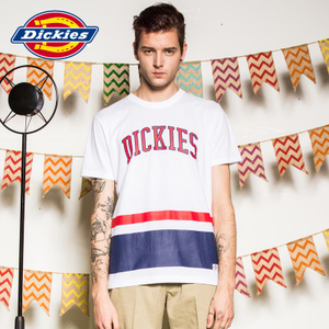 Dickies 162M30WD26