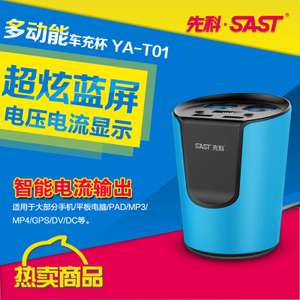 SAST/先科 AY-T01