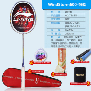 WINSTORM600