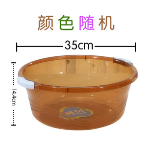 茶花 35cm