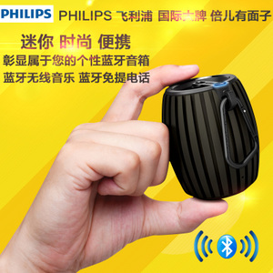 Philips/飞利浦 SBT30