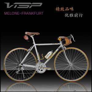 VISp 16713