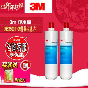 3M DWS2500T-CN