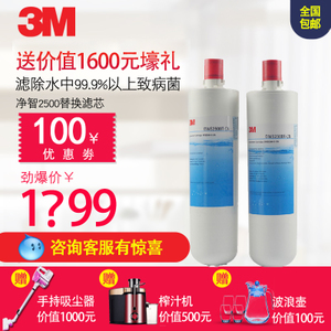 3M DWS2500T-CN