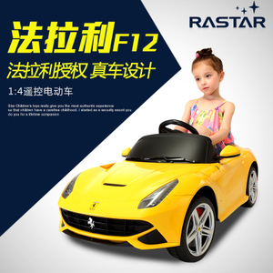 rastar 81900