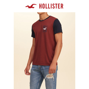 Hollister 129711