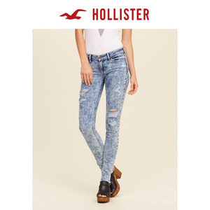 Hollister 101924