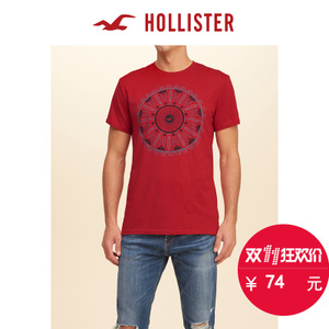 Hollister 130399