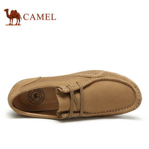 Camel/骆驼 A622066180