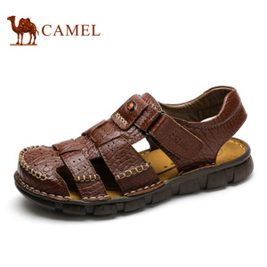 Camel/骆驼 A622396132