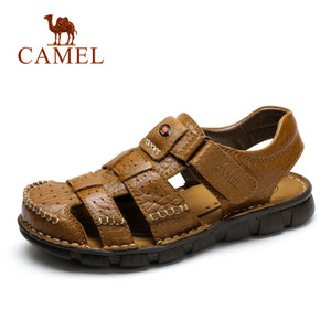 Camel/骆驼 A622396132
