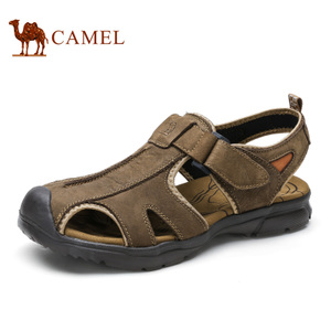Camel/骆驼 A622374062