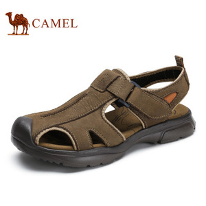 Camel/骆驼 A622374062